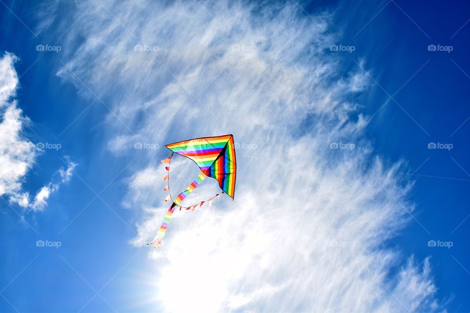 kite in the blue sky