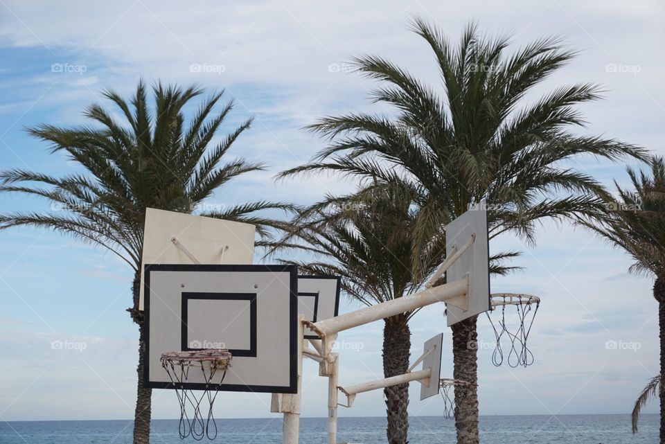 Basket#beach#palms