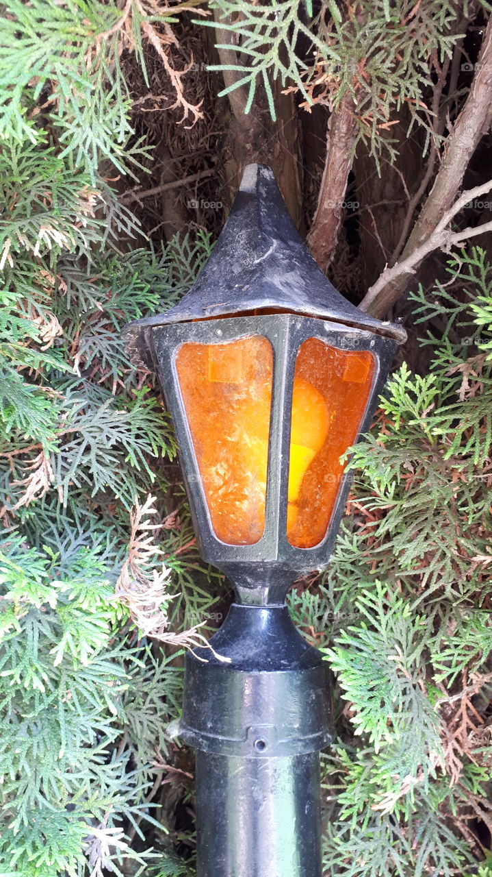 Lit Orange Stained Glass Lamp in Cedars