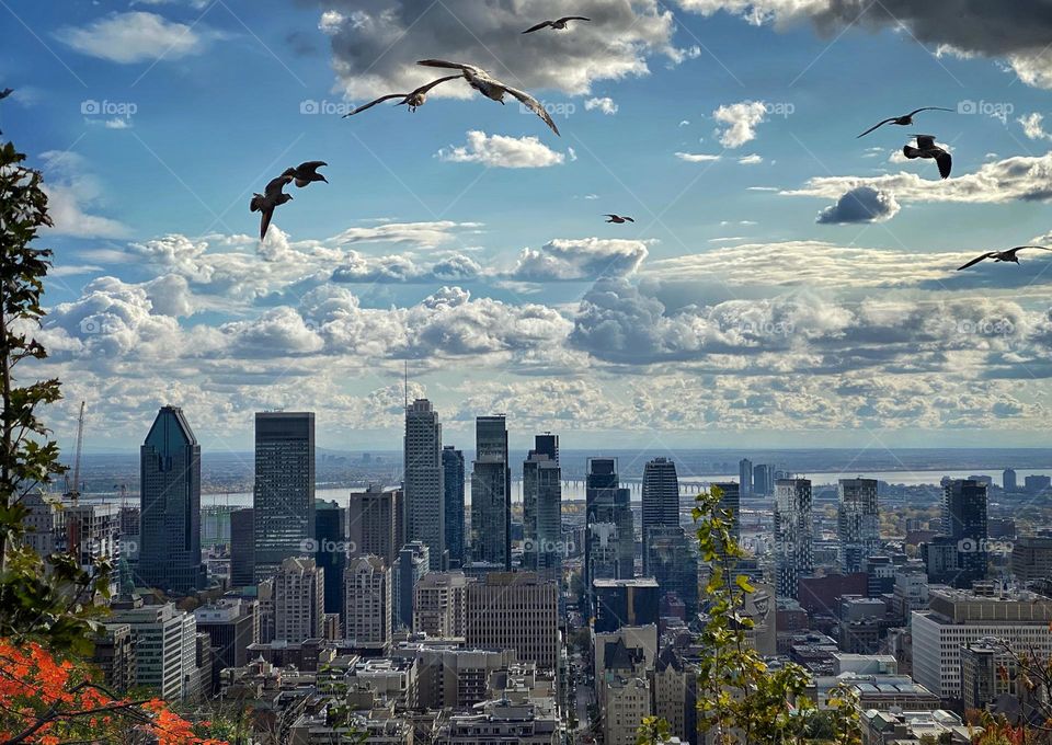 View of downtown Montréal from the top of Mount Royal