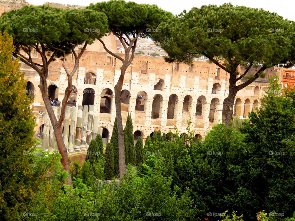 view of Rome Italy