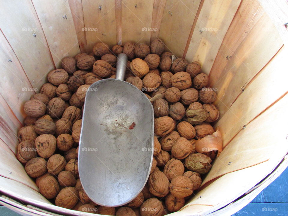 farm fresh walnuts