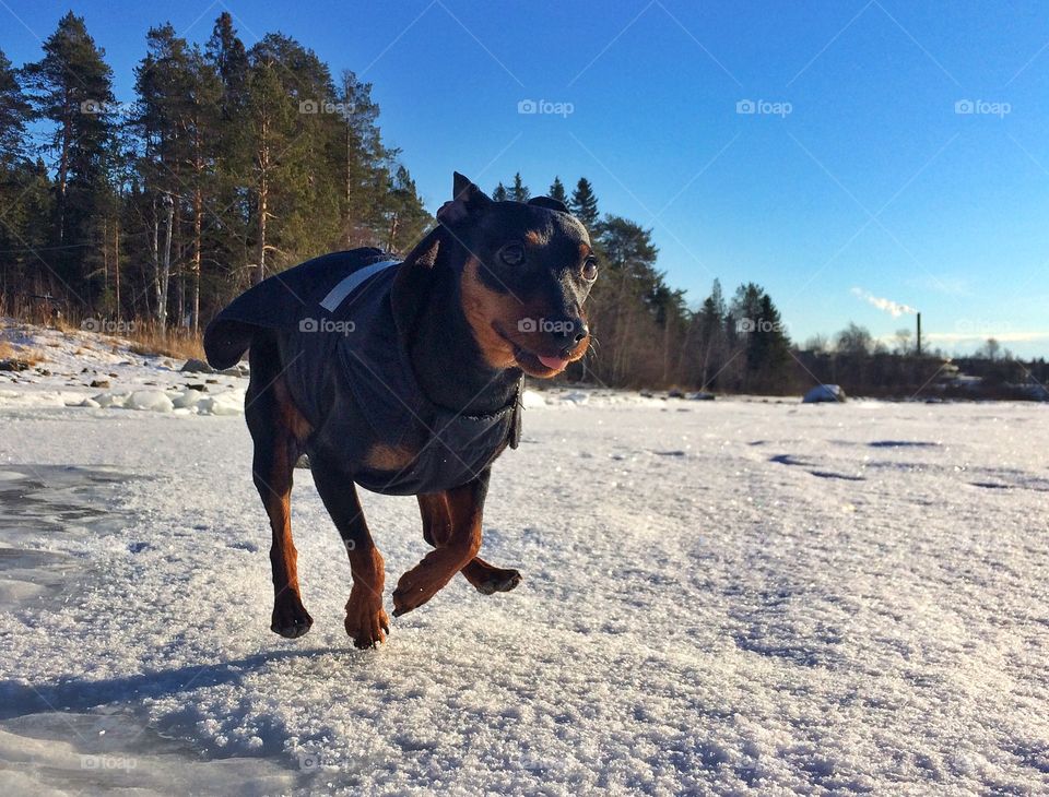 Running minpin