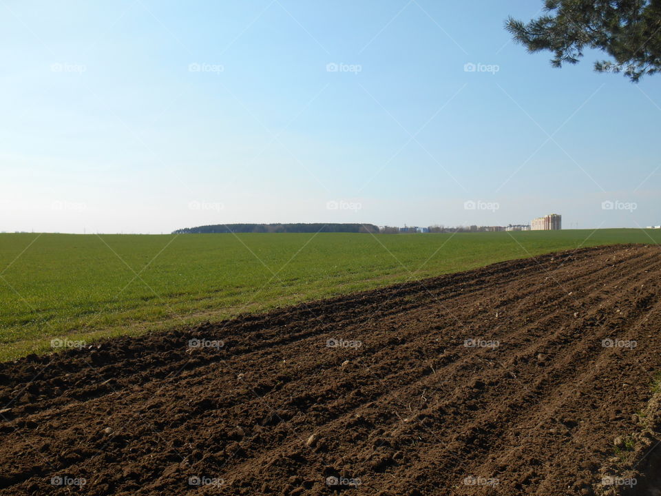 Agriculture, Soil, Farm, No Person, Cropland