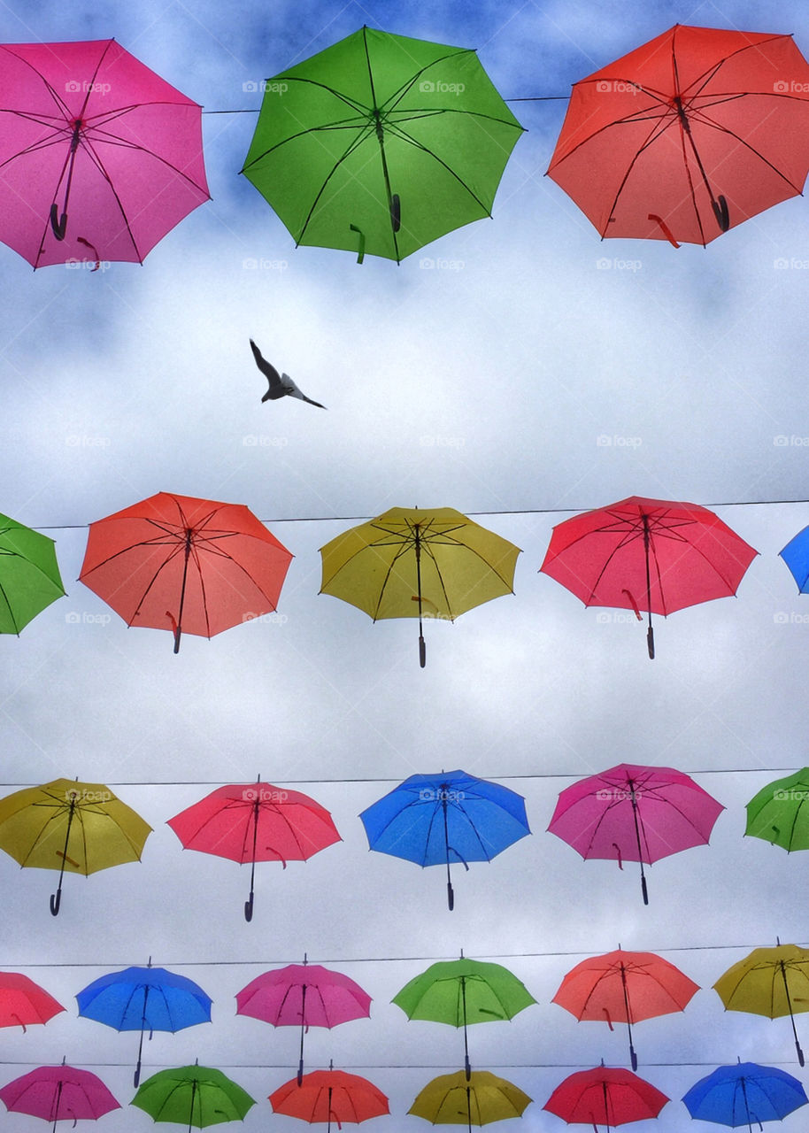 Looking up at colorful umbrellas strung across the sky at the moment a bird flies by