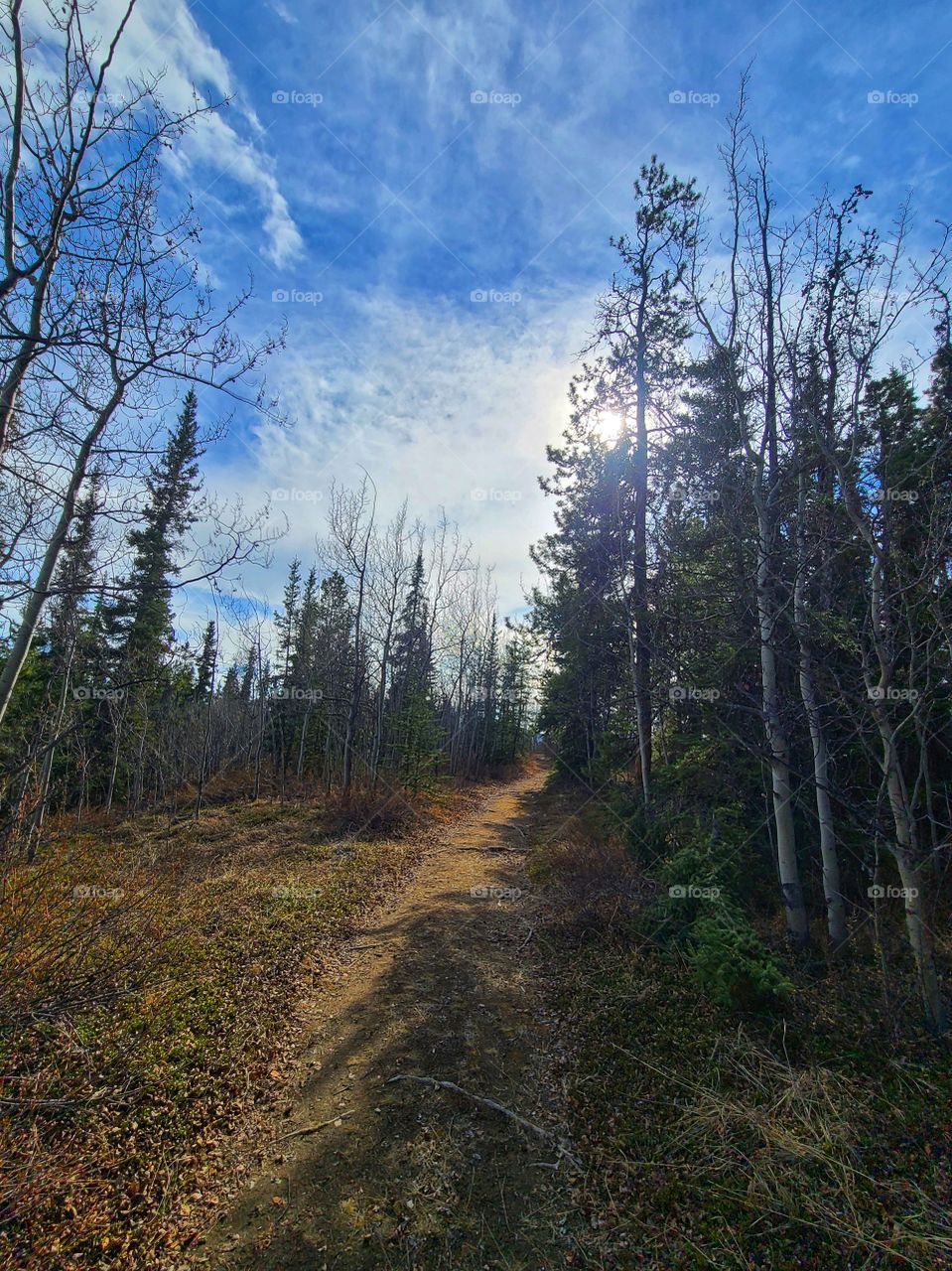 Sun peaking through the clouds while hiking in the forest