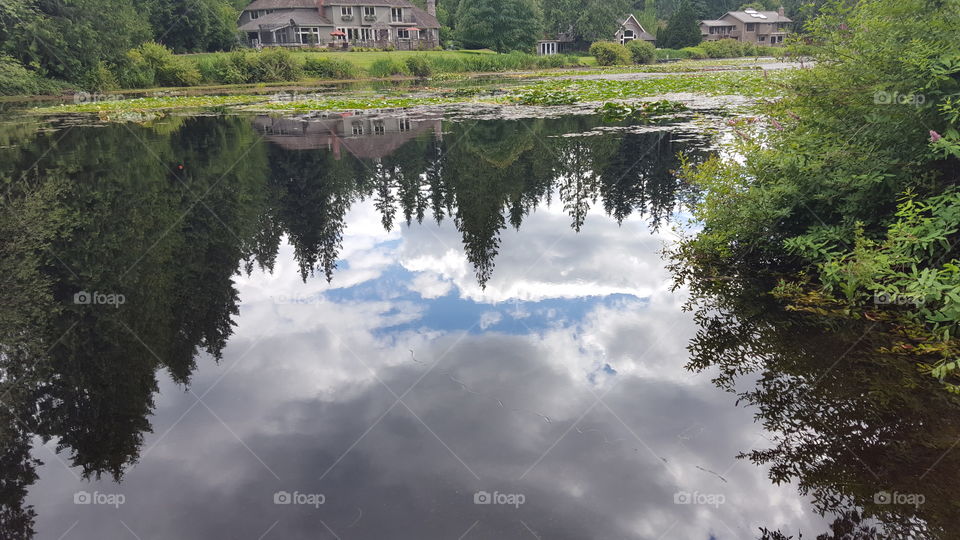 pond mirror