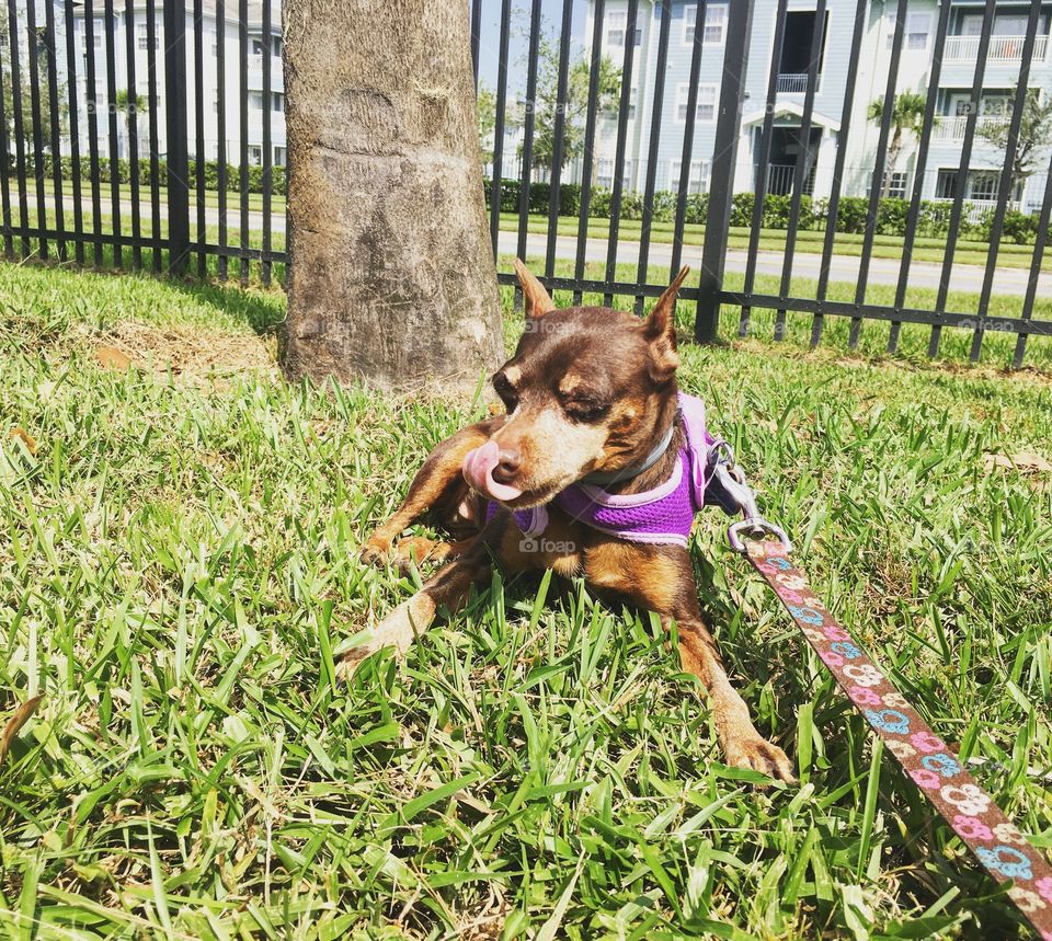 Soaking up as much warm sun as she can before it starts getting chilly out