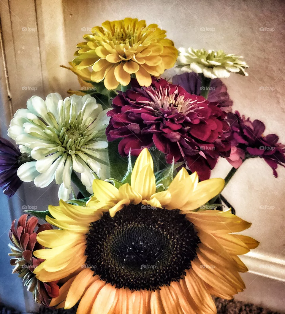 Fresh picked zinnias sunflowers