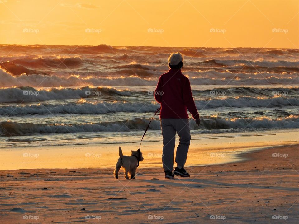 walking our dogs alone the beach on a warm summer 