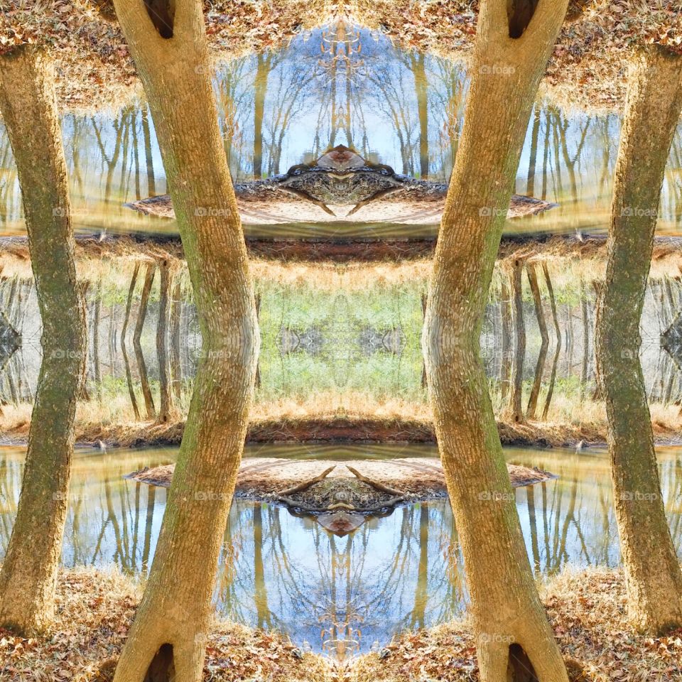 Alcovy River Forestry Mirror Photo Play