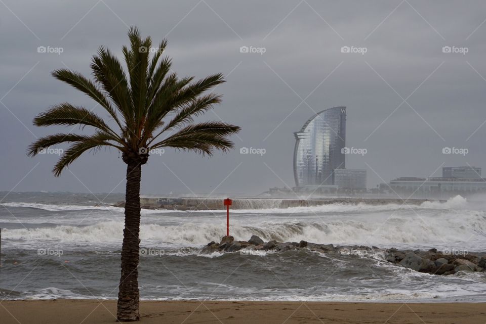 Mediterranean Winter