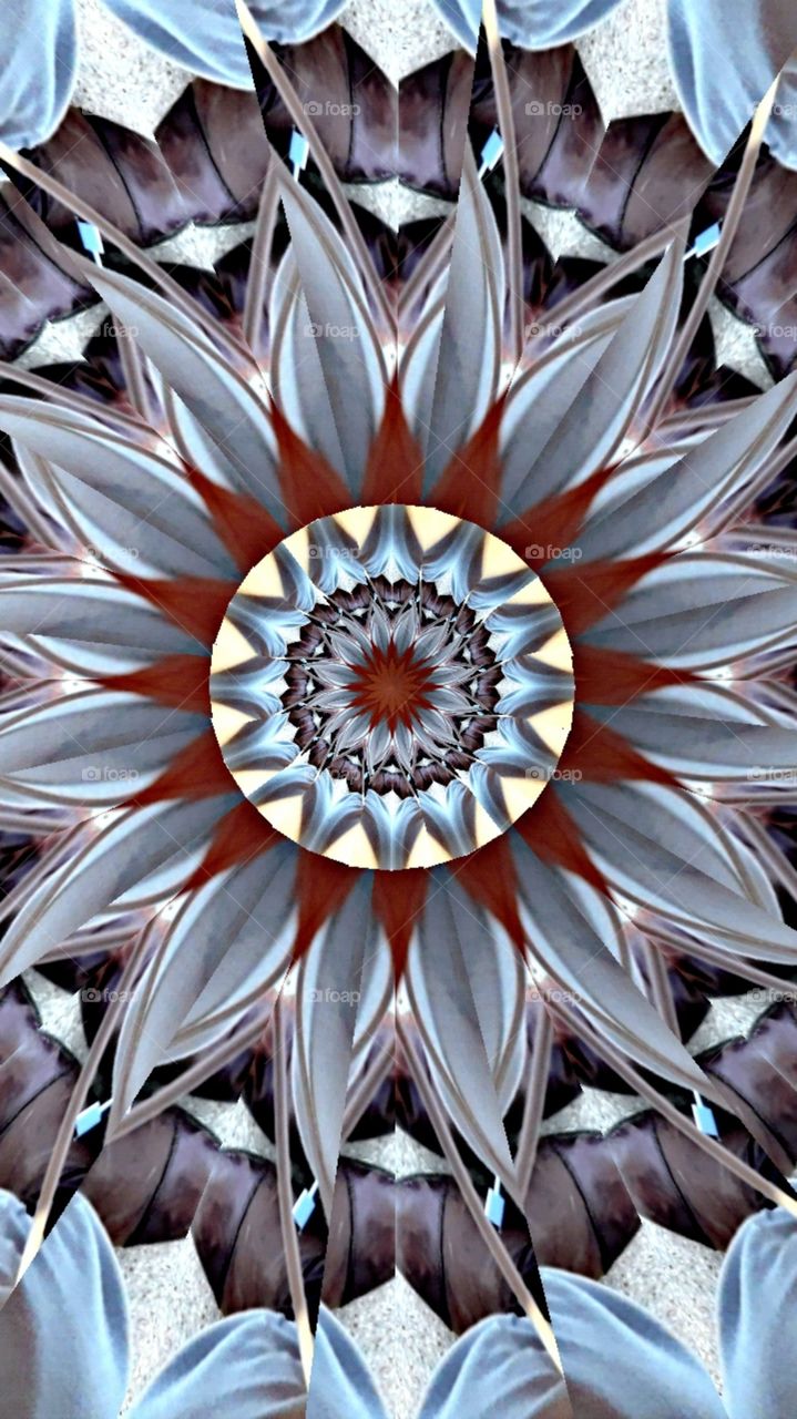 I forgot what this started off as kaleidoscope