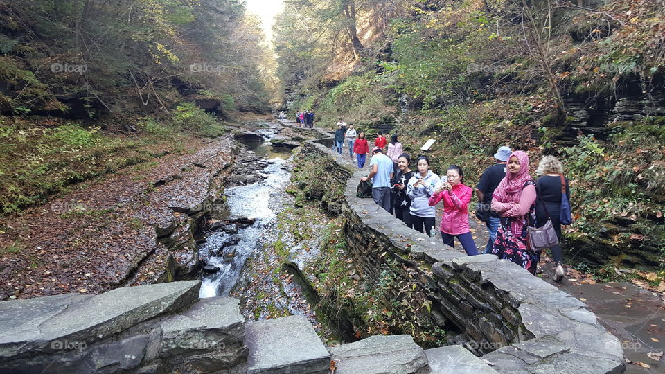 Watkins Glen state park, Gorge trail, NY