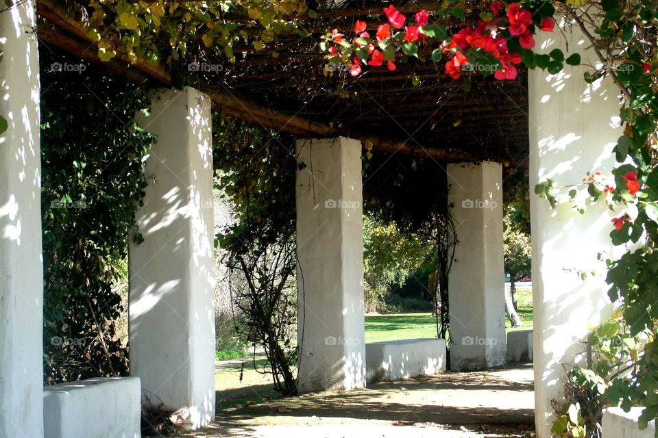 pillars covered in green and flowers, lining a walkway in California