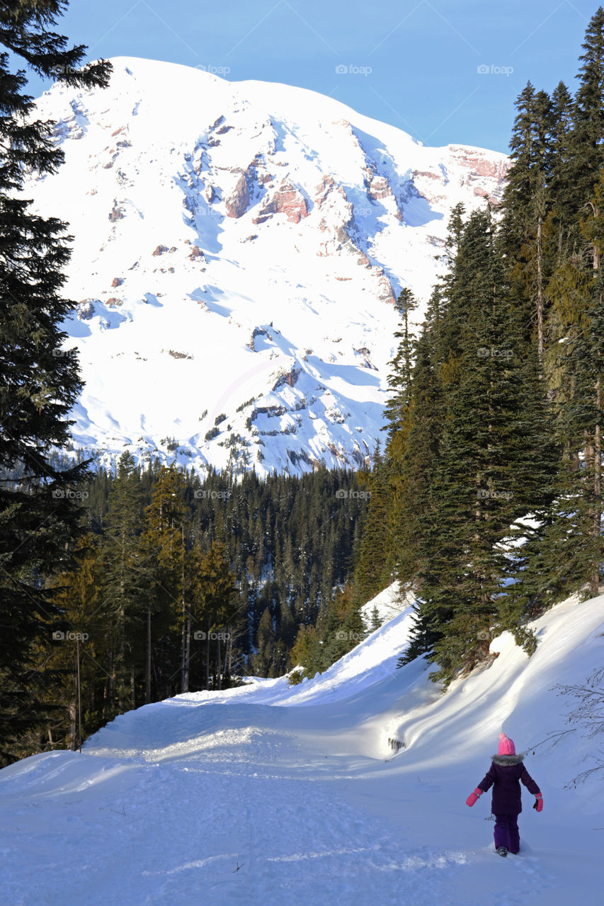 Hiking in the snow at Mount Rainier