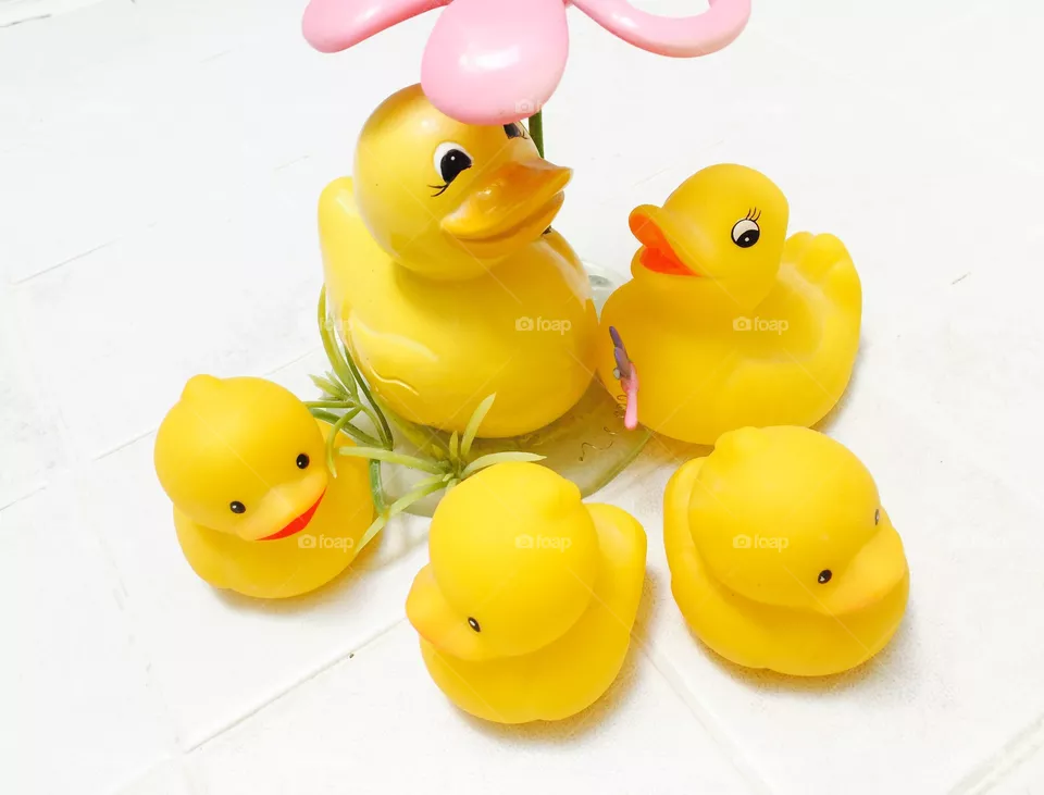 My duck