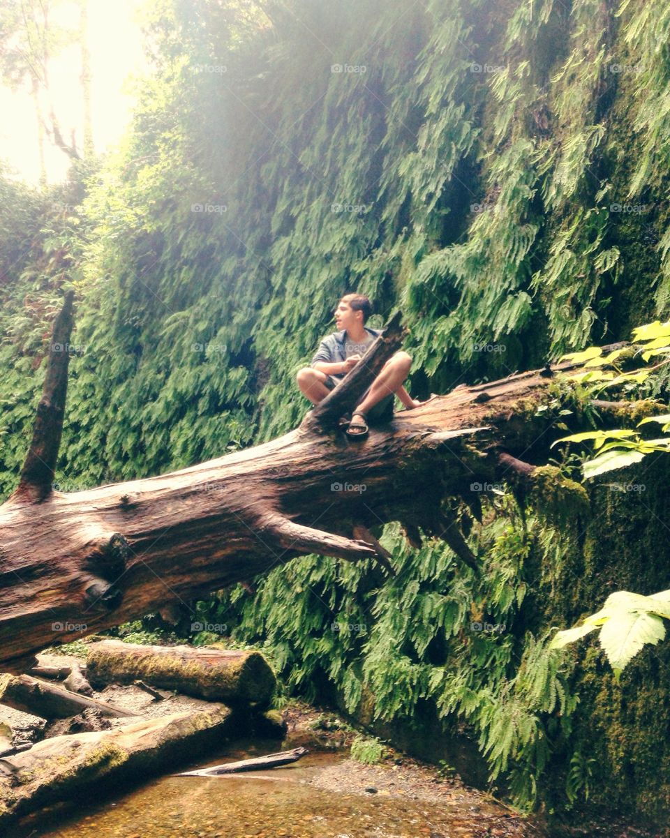 Hiking boy at rest on a long in Fern Valley Redwood National Park