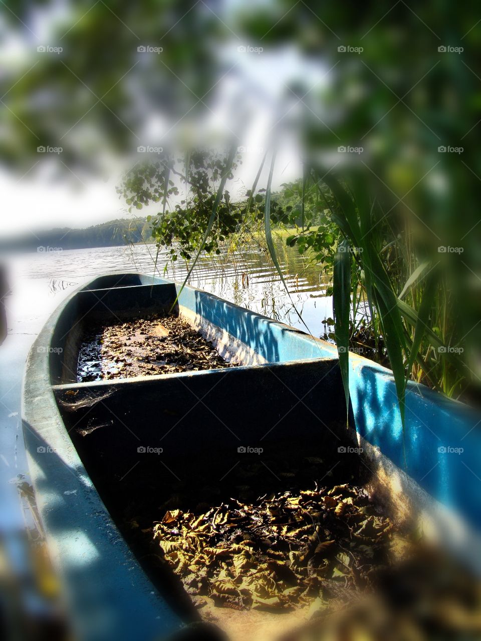 lost. old boats forgoten and weathered