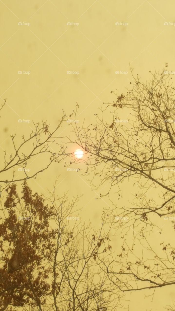 Gatlinburg Wildfire Smoke Covering the Sun... November 2016