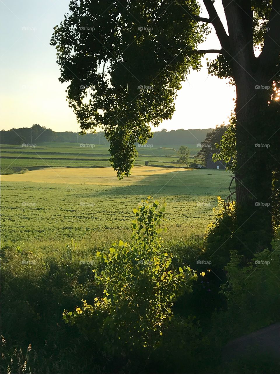 View along the creek