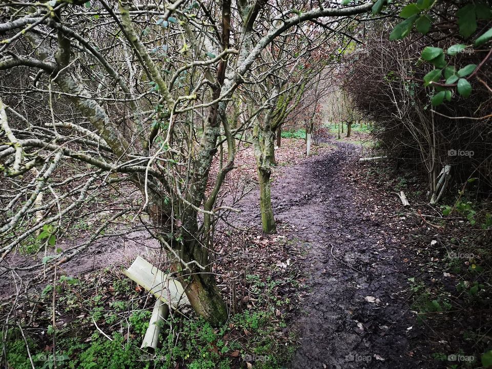 peace and quite 😇