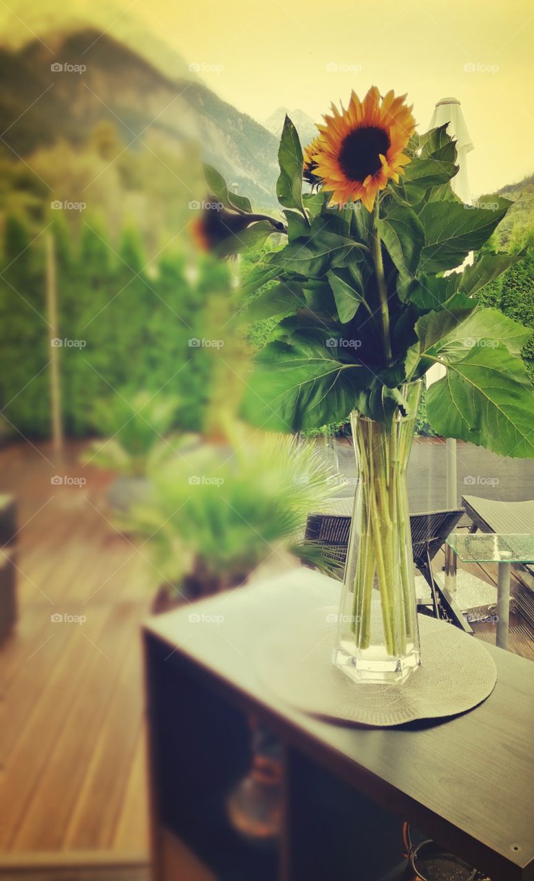 Decorative sunflower in glass vase.