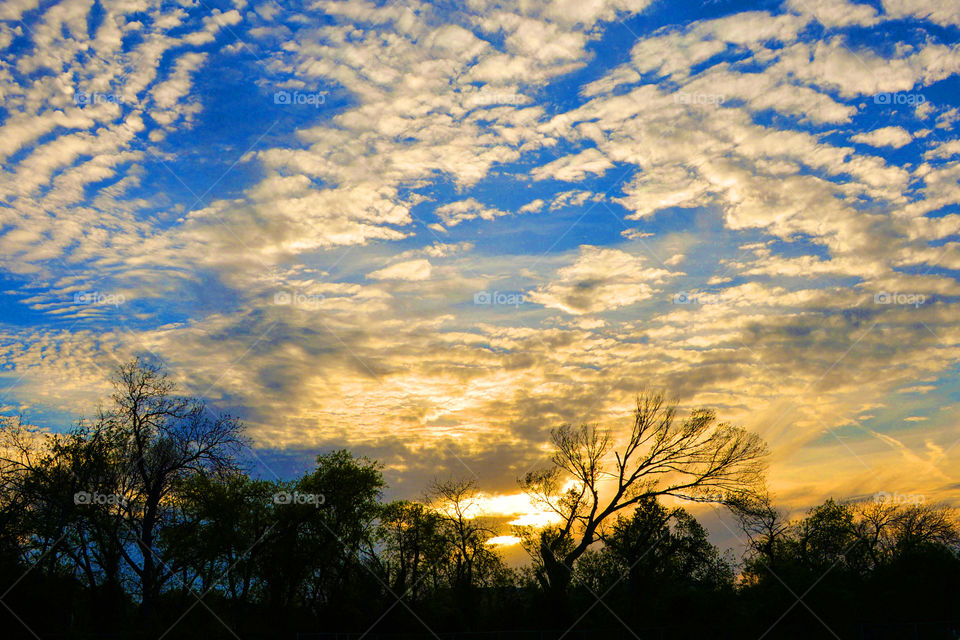 Sunset. Just an amazing sunset I was lucky enough to capture on film. 