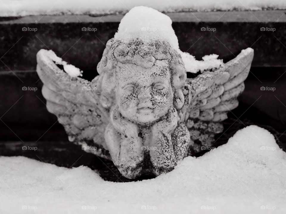 Angel in the snow 
