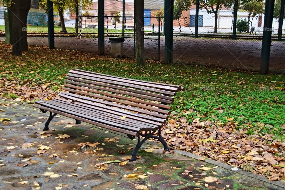 A bench any of any park on an autumn day