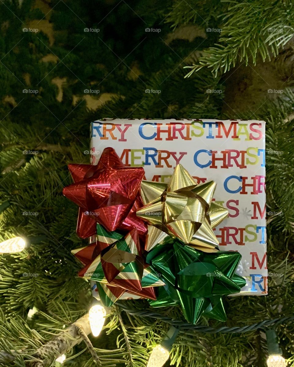 Christmas tree with beautiful lights with a Christmas gift with colorful bows 