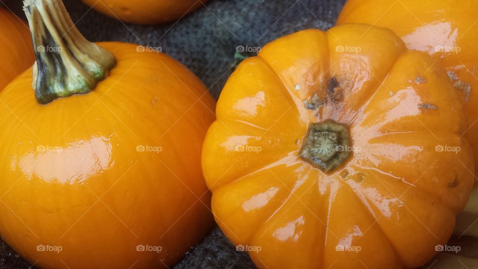 Shiny Pumpkins