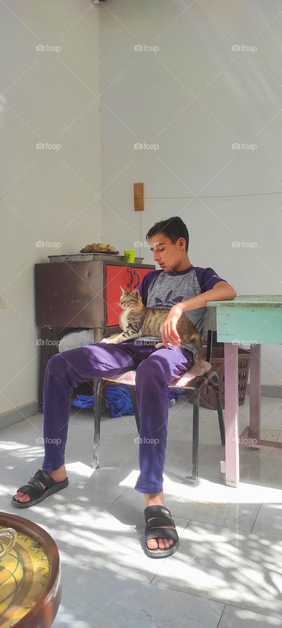 The cat is in a relaxed position