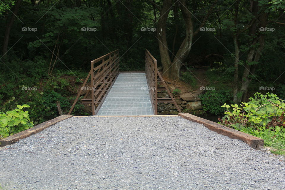 bridge on trail