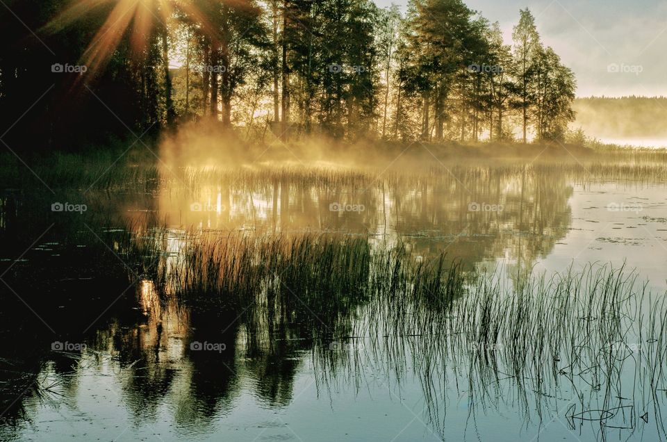 Took this one in Finland when I spent a Summer vacation there. it was a beautiful sunny mirnibg.