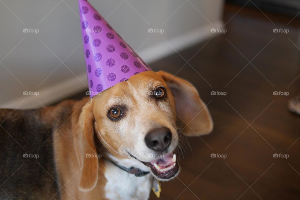 Happy birthday to me