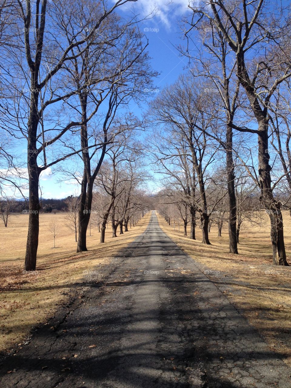 Driveway.