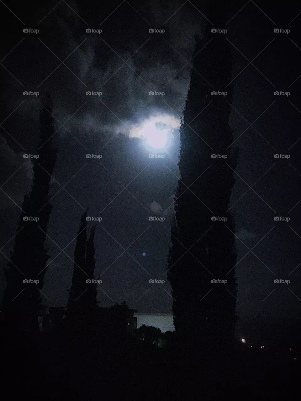 Moonlight