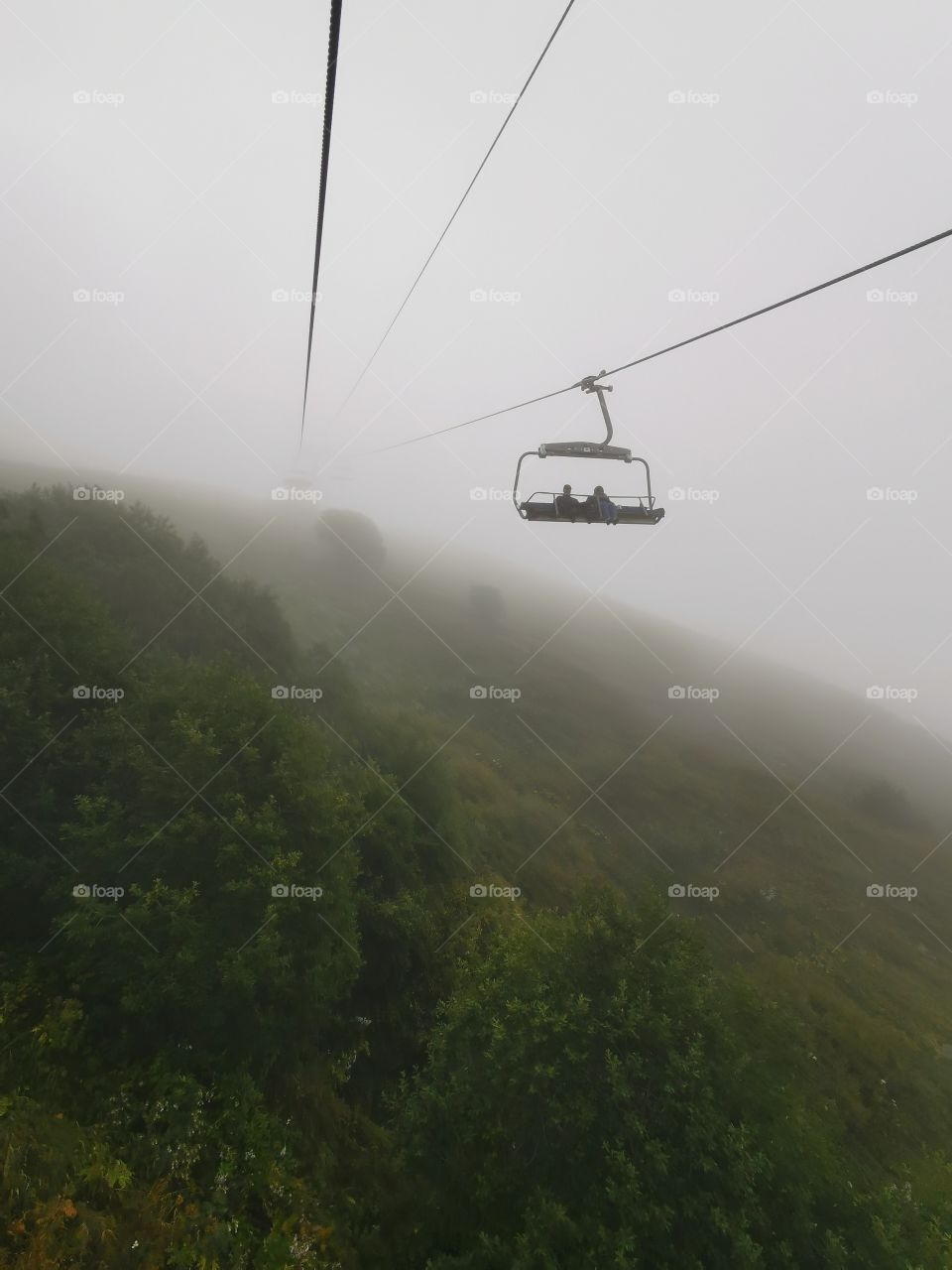 Memory view hand happy flower beauty nature form shape day part green plant man human body Mountain hills fog foggy milky travel wild forest heaven