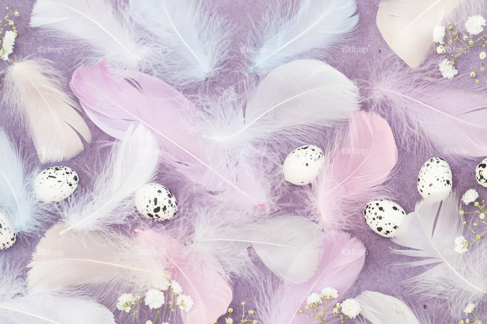 Easter composition with feathers, eggs and white gypsophila flowers on a violet crumpled paper background. Flate lay