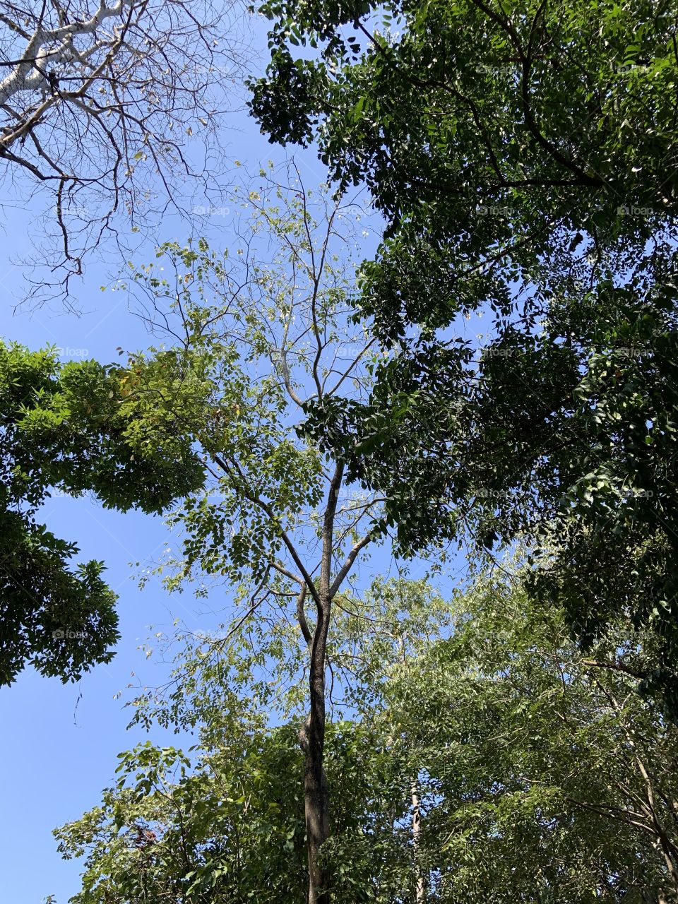 Best of 2021 : nature (Countryside, Thailand)