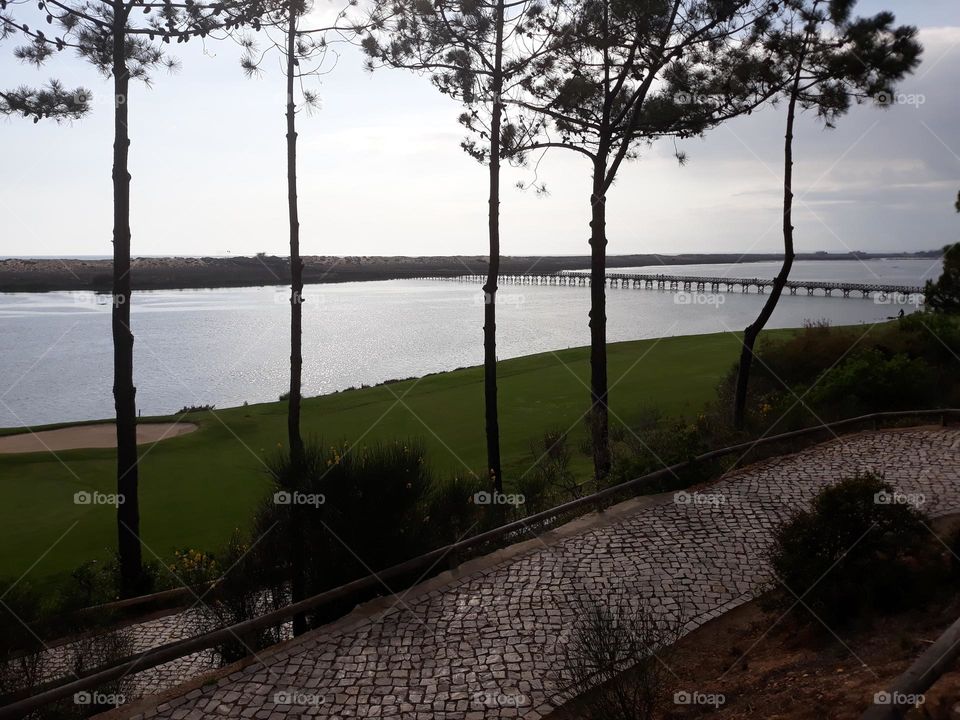 Paradise with a view