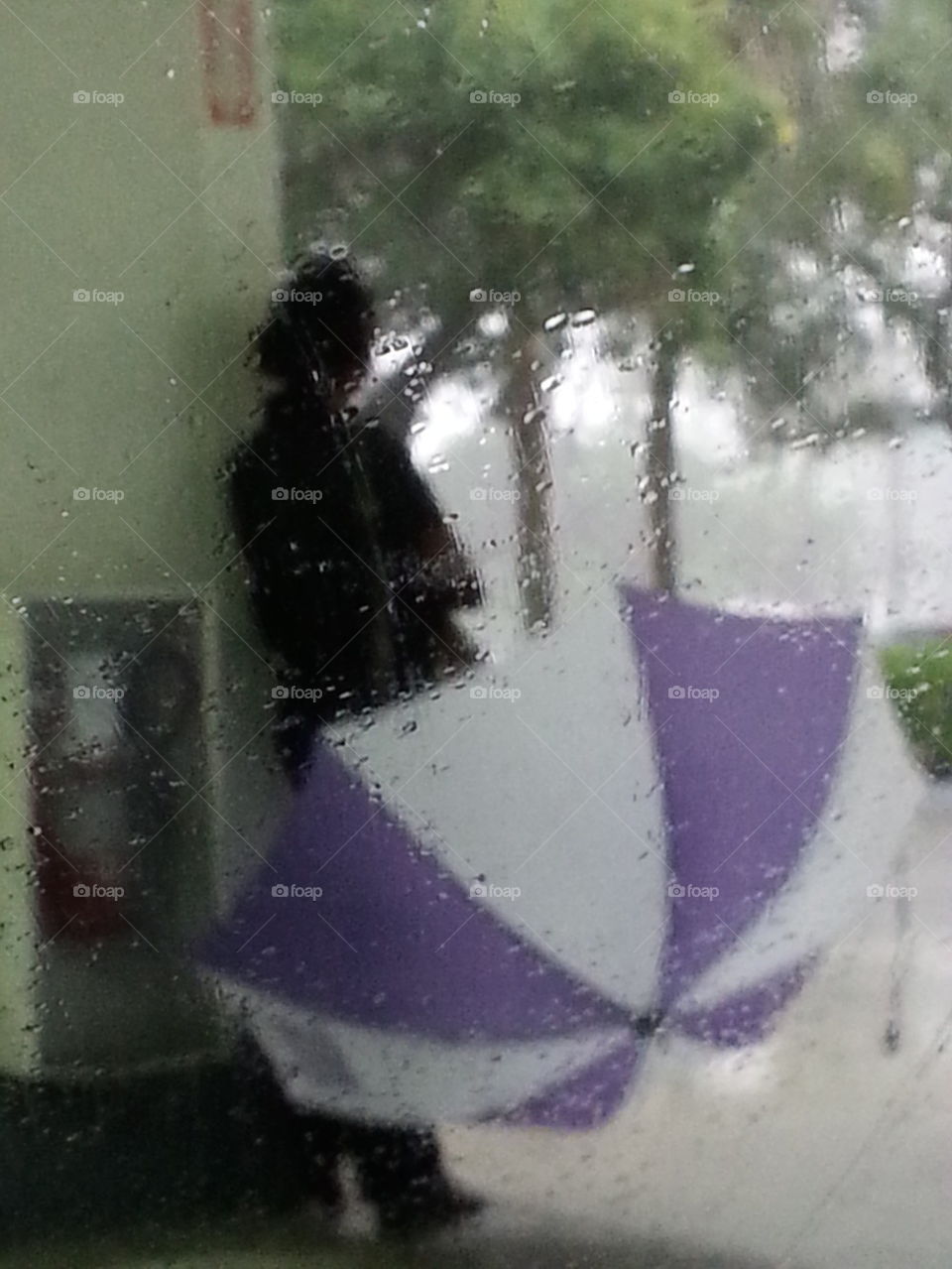 umbrella and a rainy day