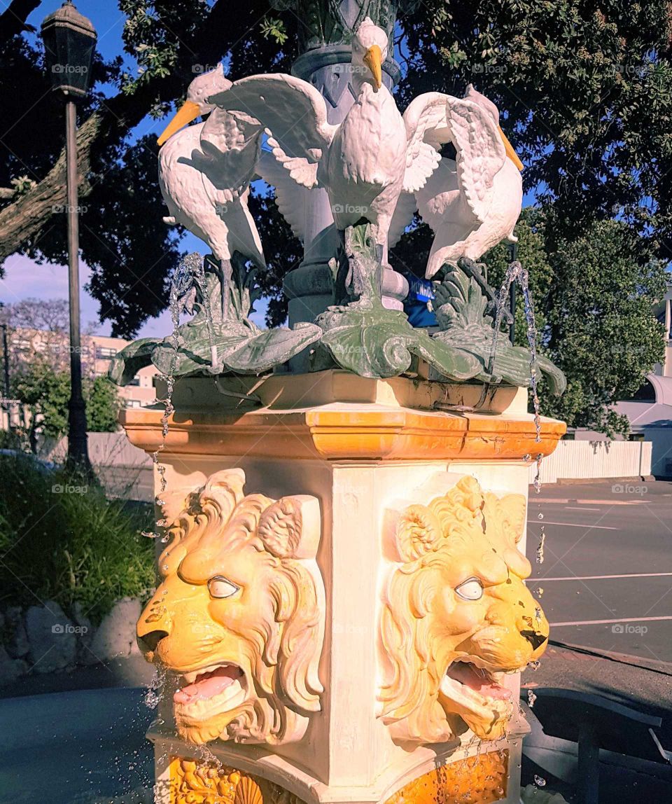 This fountain is very unique with pelicans and lions they bless our town with color.