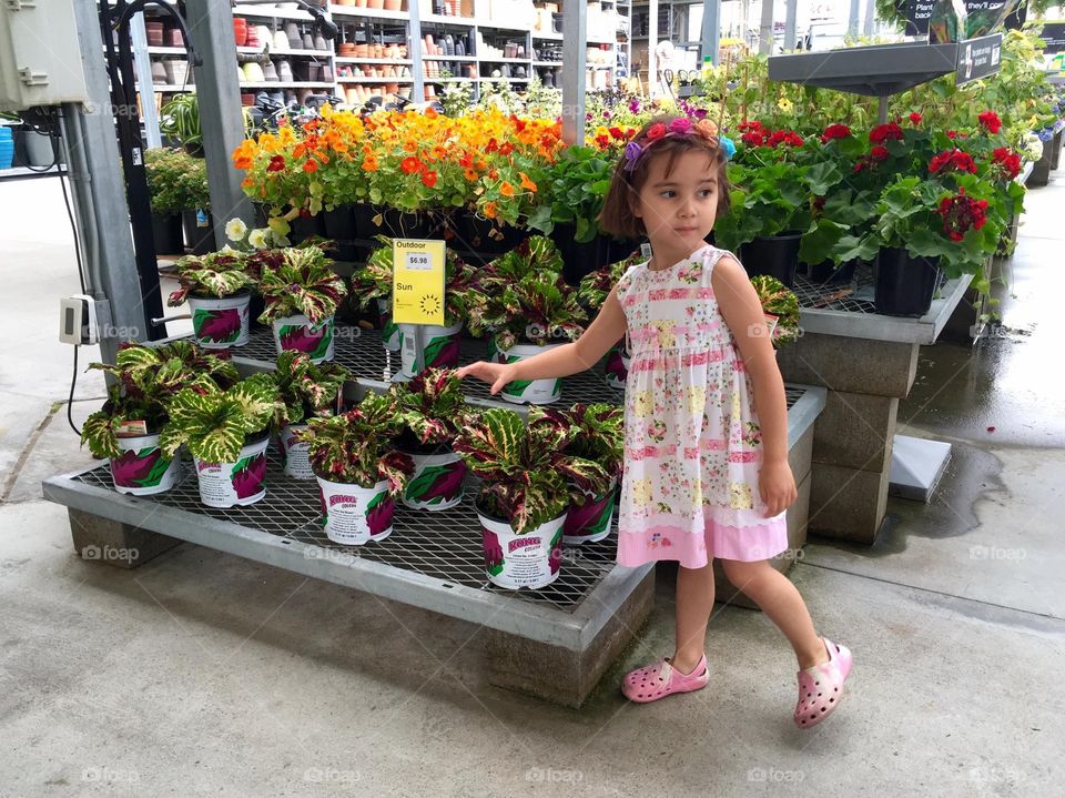 Flowers in store