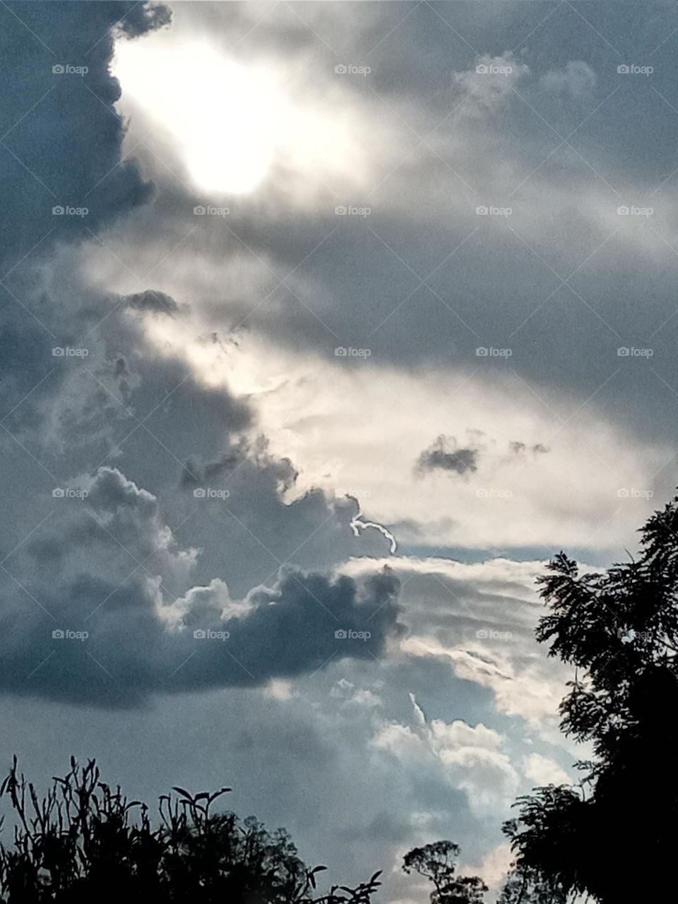 Blue sky, clouds and tree