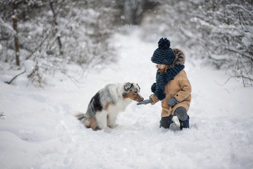 Cute little girl with Australian shepherd in the forest