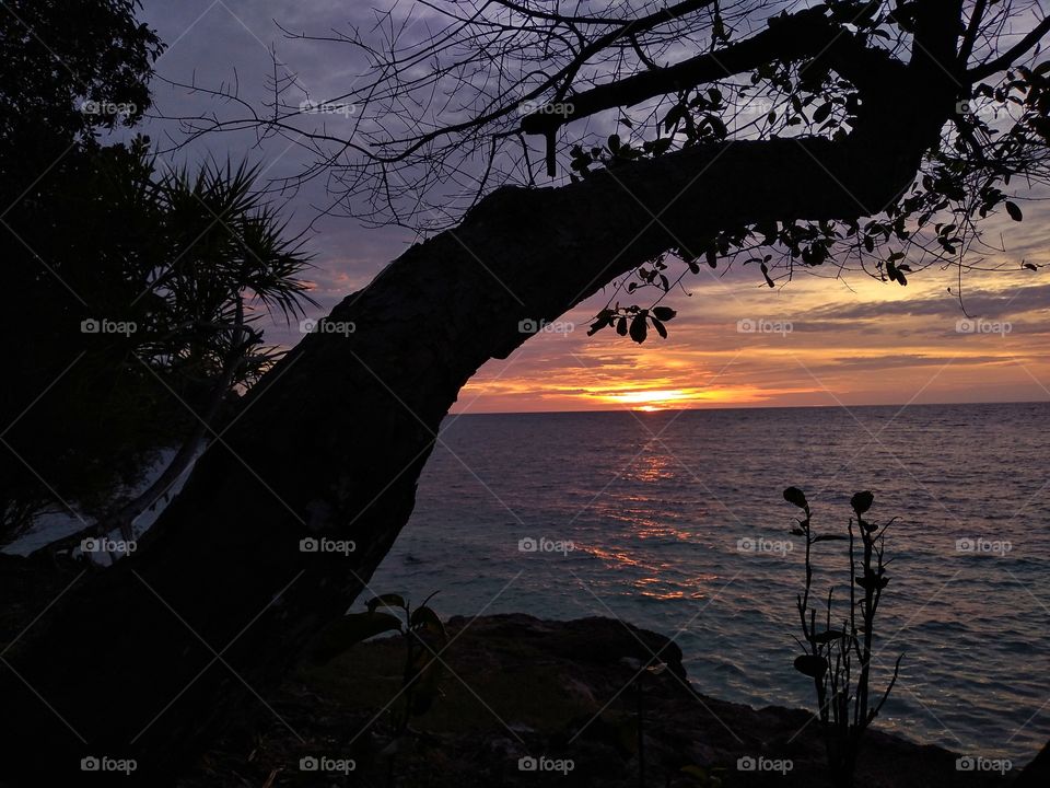 sunset from behind the trees