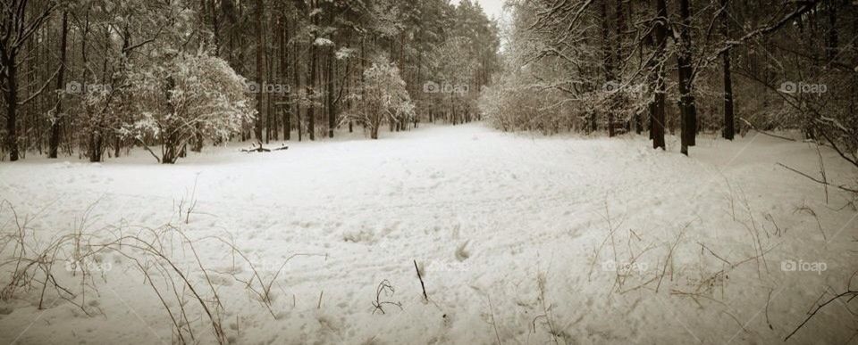 Lithuania in the snow