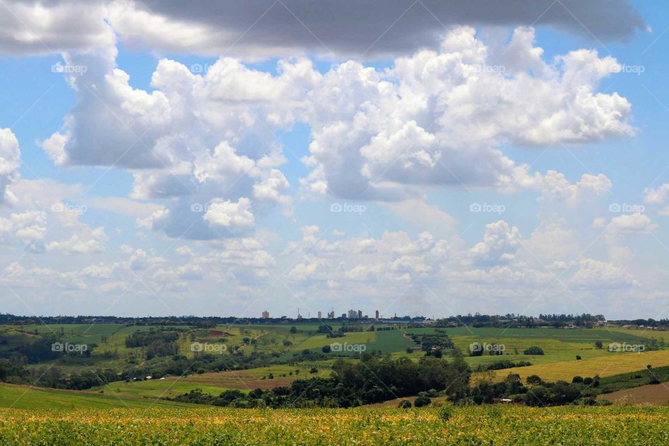 A town on the horizon, after the fields